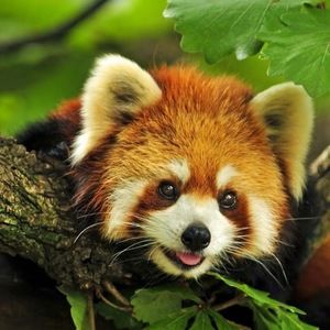 Meet your Posher, Erick